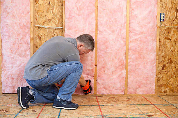 Best Commercial Insulation in Rowland, NC